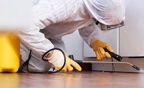 Best Termite Inspection and Treatment  in Delavan, IL